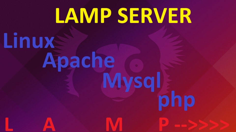 A Step-By-Step Guide to Installing a LAMP Server on Ubuntu