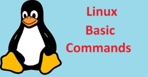 Linux commands that every beginner should know.